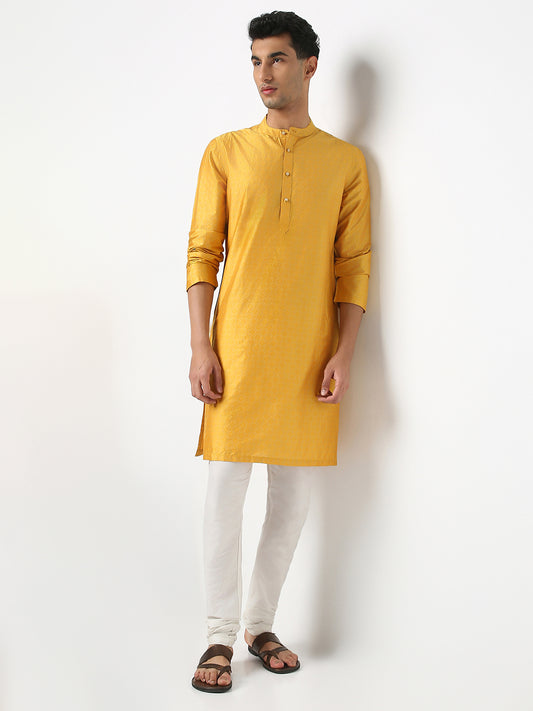 Regular Fit Printed Mandarin Collar Full Sleeve Kurta