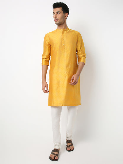 Regular Fit Printed Mandarin Collar Full Sleeve Kurta