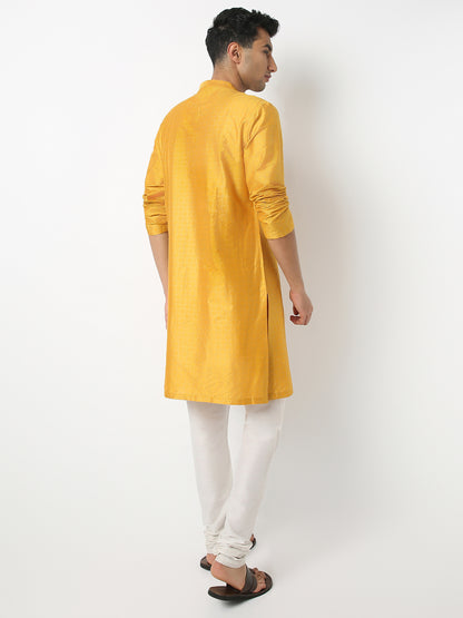 Regular Fit Printed Mandarin Collar Full Sleeve Kurta