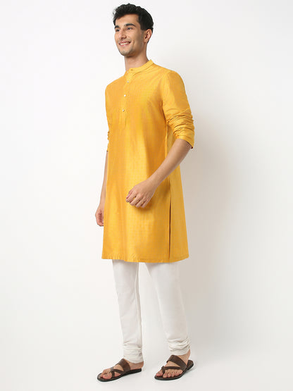 Regular Fit Printed Mandarin Collar Full Sleeve Kurta