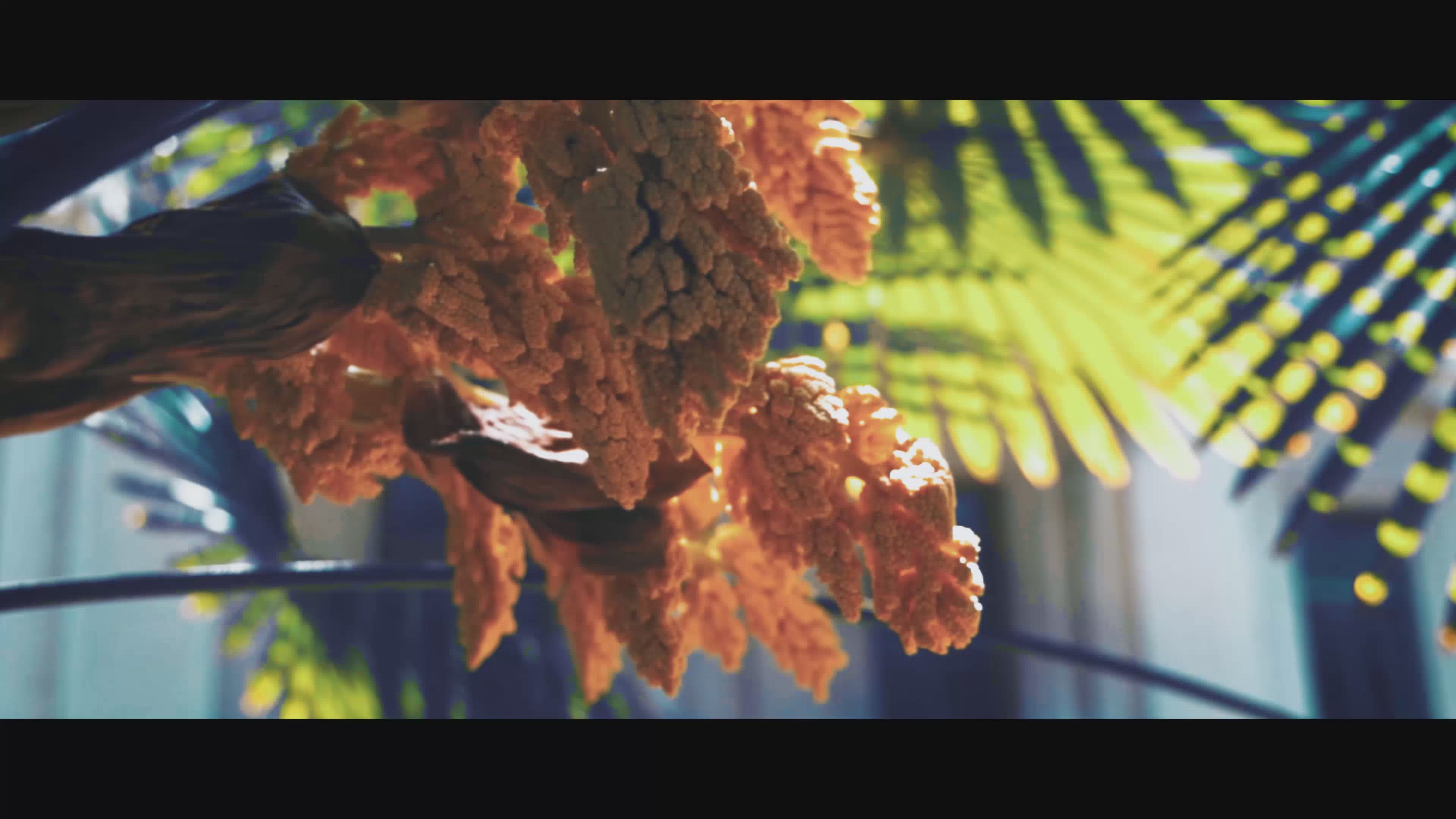 Load video: 