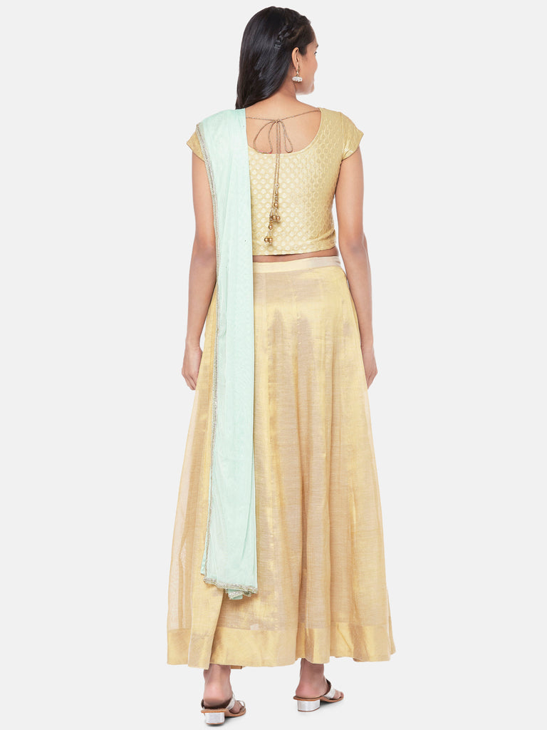 Net Straight Women Sap Green Dupatta