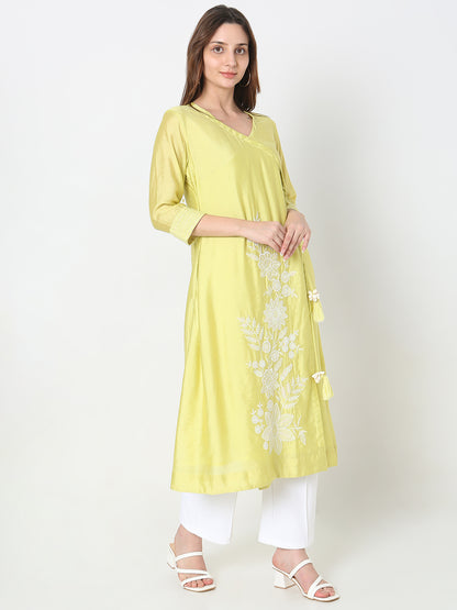 Nylangan Flare Fit Embroidered Kurta